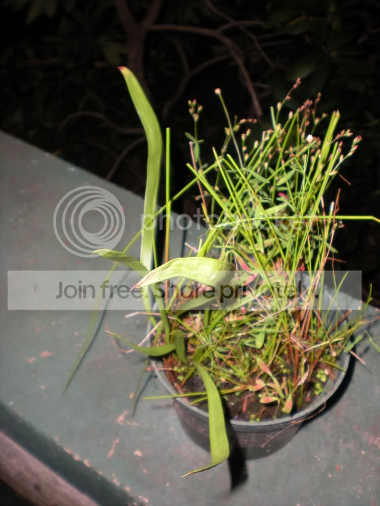 DSCN7205.jpg