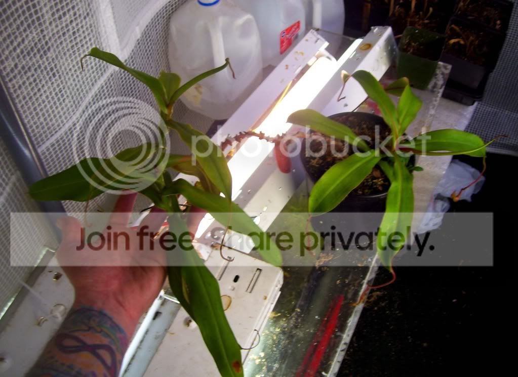 100_7642.jpg