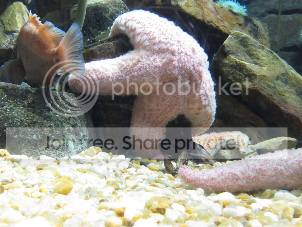 IMG_5587.jpg