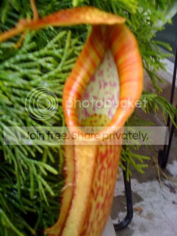 photo-4.jpg