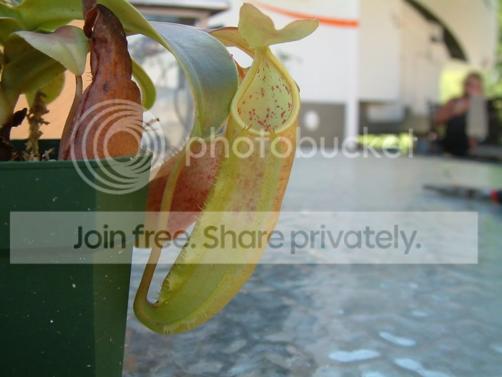 randomCPpictures008.jpg