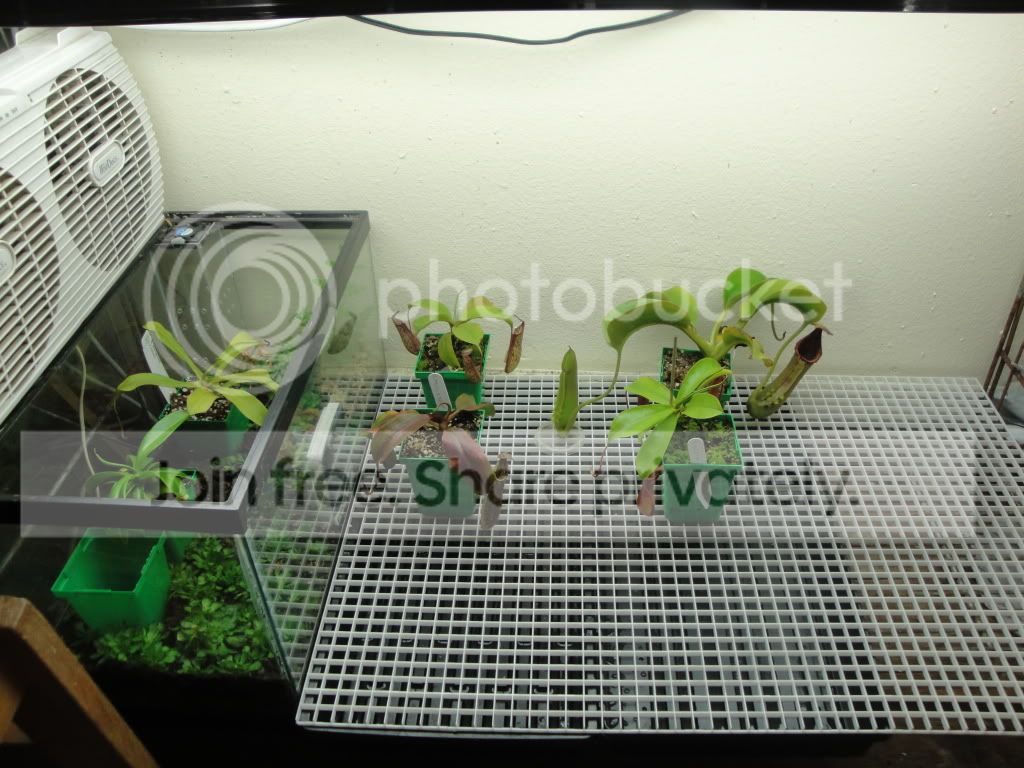 DSC03488.jpg