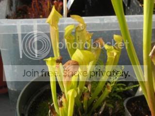 DSCN0370-2.jpg