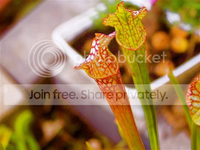 000_1144.jpg
