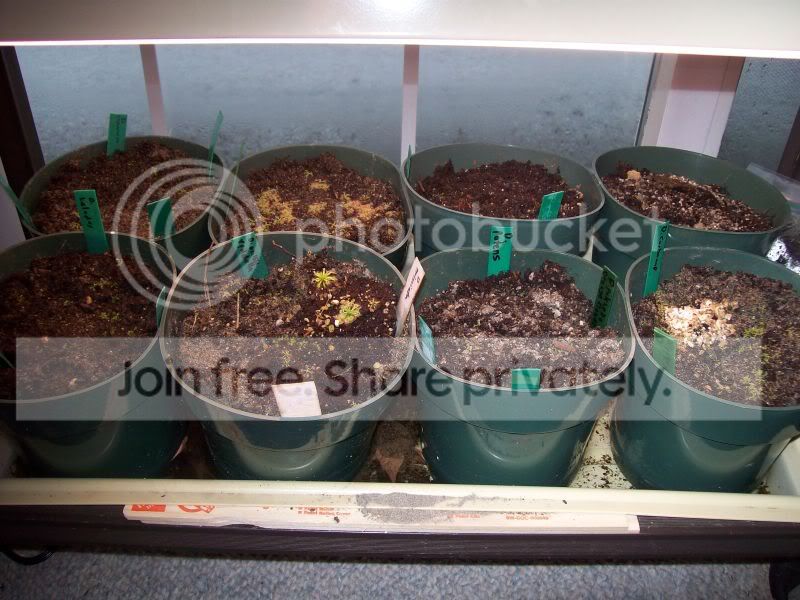 100_8636.jpg