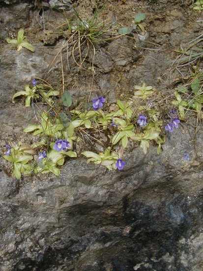 causse21.JPG