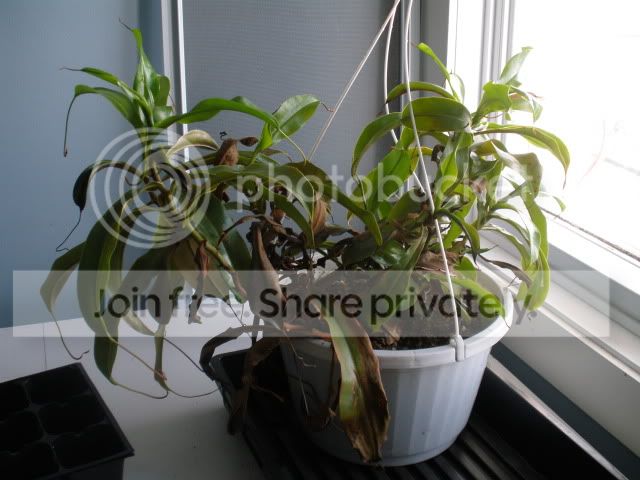 P1160041.jpg