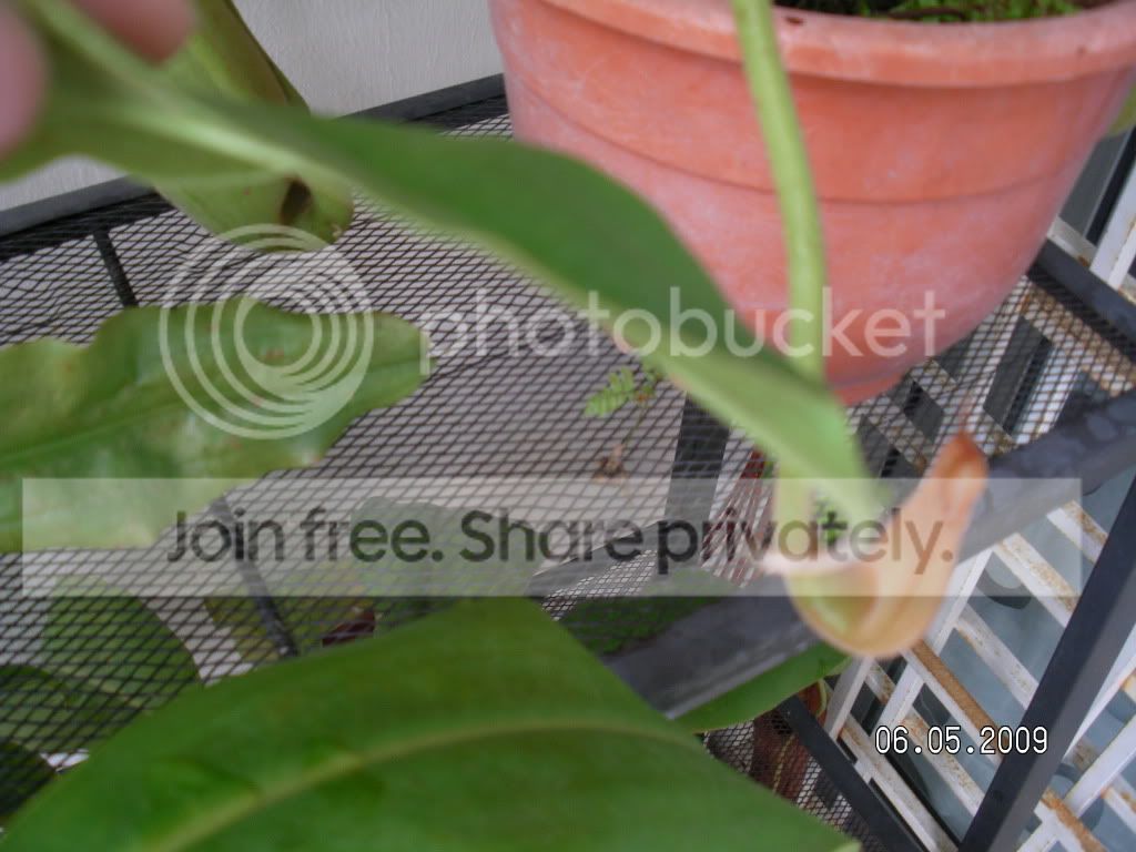 RIMG0282.jpg