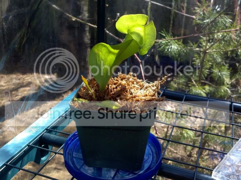 2011-04-22_14-07-05_485.jpg
