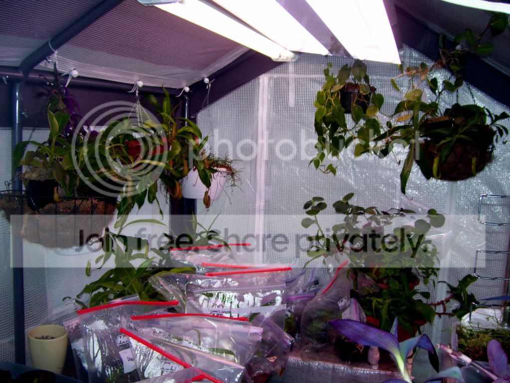 100_6686.jpg