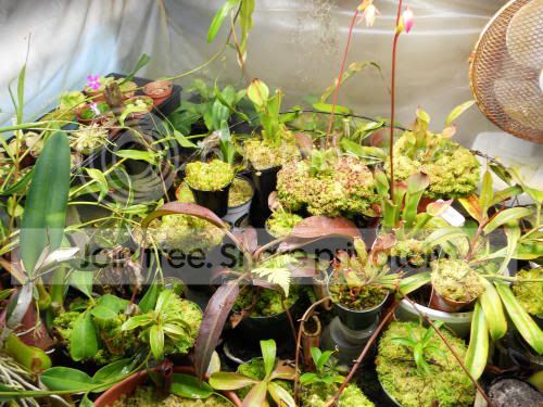 chamber01_1-15-12.jpg