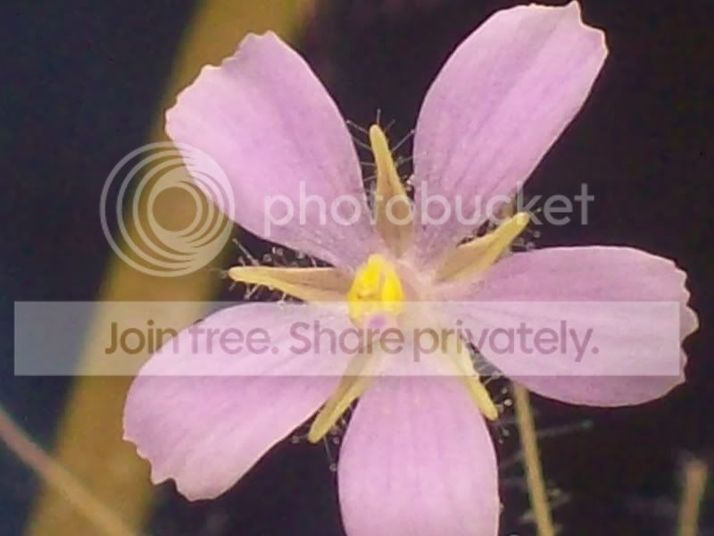 Picture002.jpg