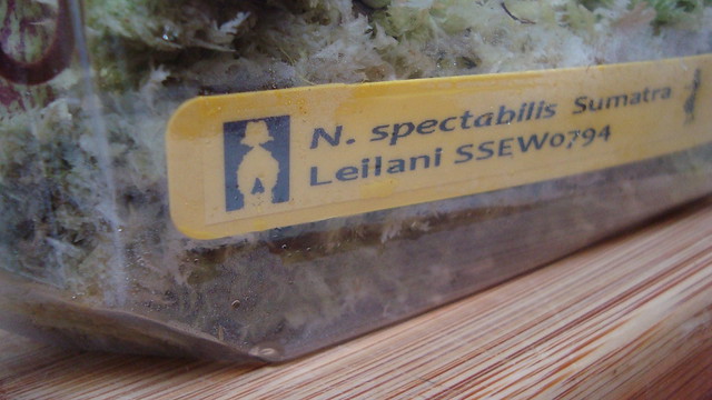 6202398008_6de6083c29_z.jpg