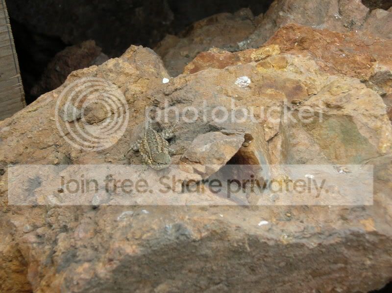 DSCN2013.jpg
