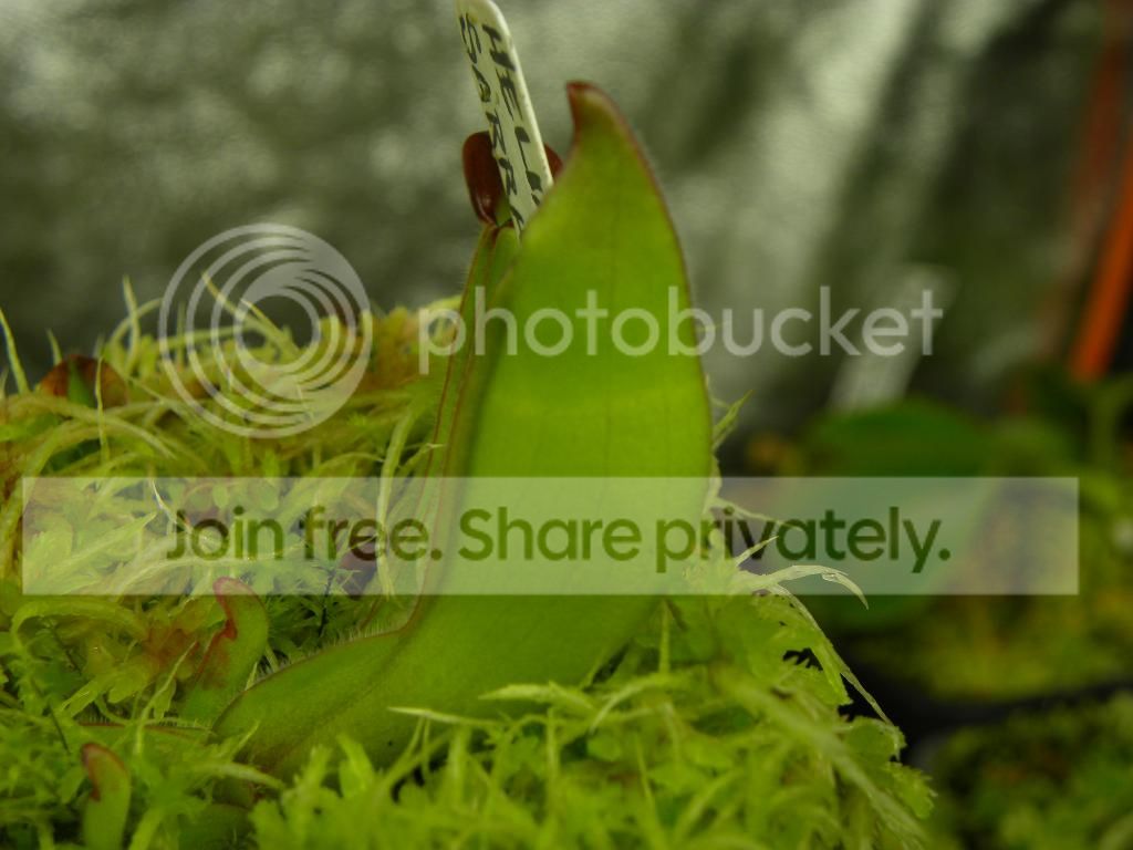 015_zpsf88c52bc.jpg