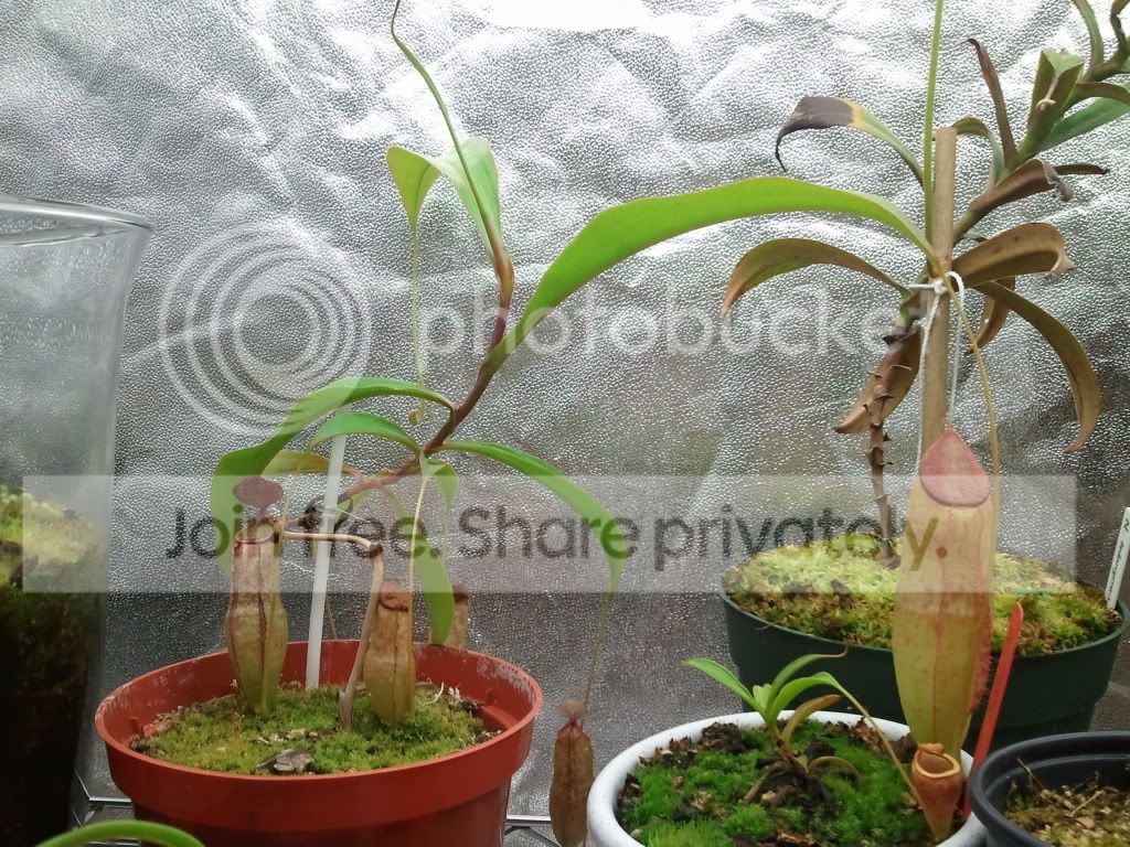 2011-07-18120619.jpg