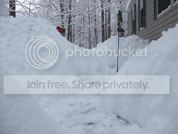 08morethan4ftsnow021.jpg