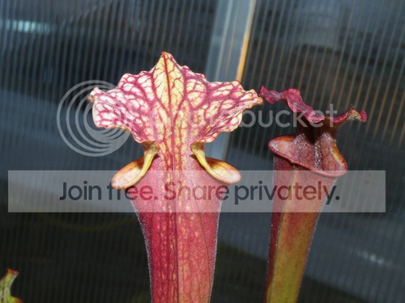 DSCF9632.jpg
