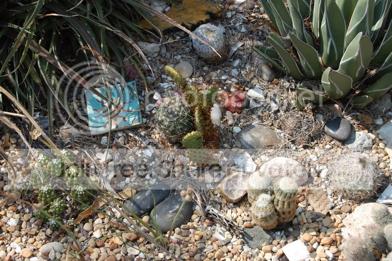 DSC_0131.jpg
