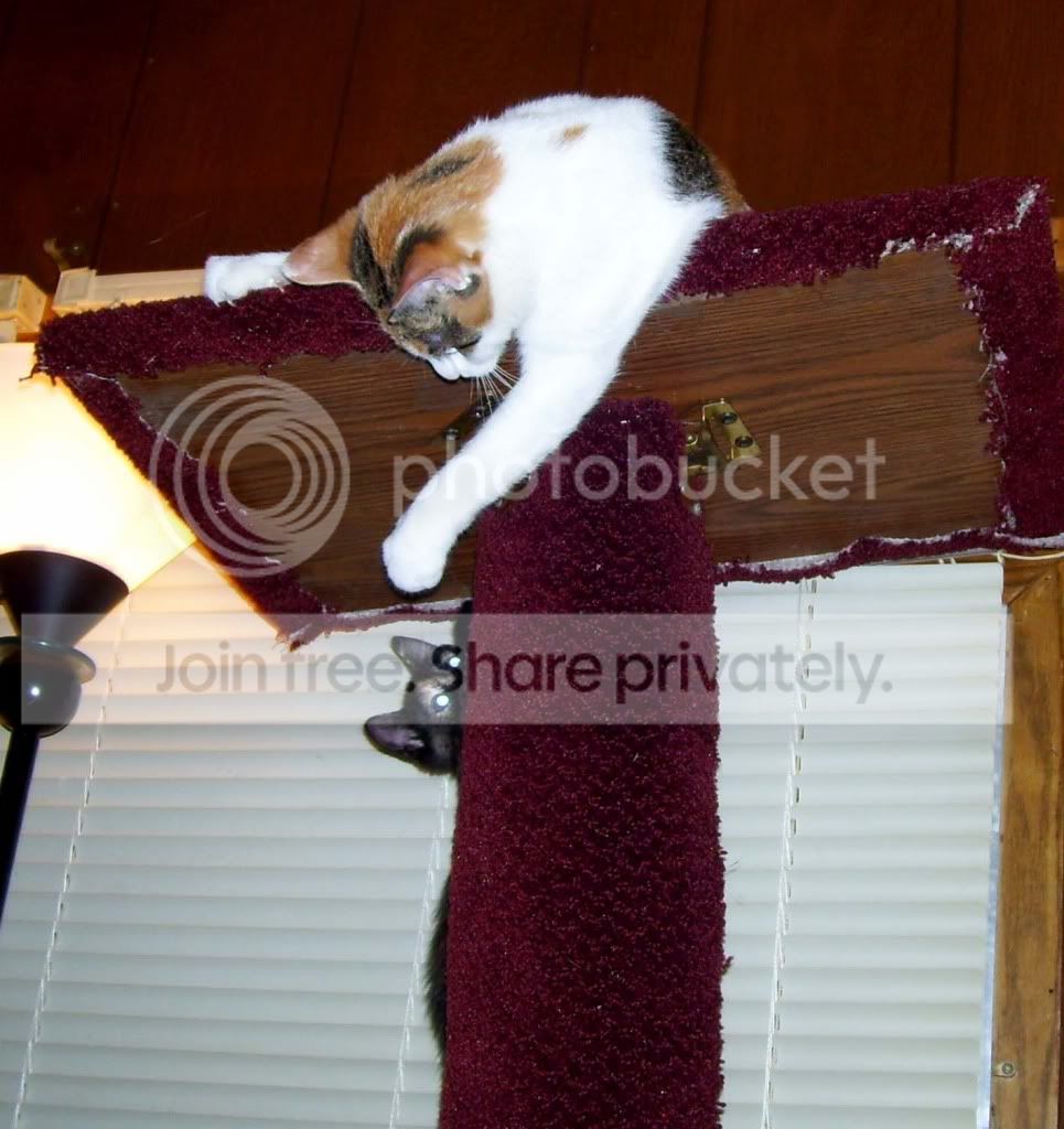 100_4731.jpg