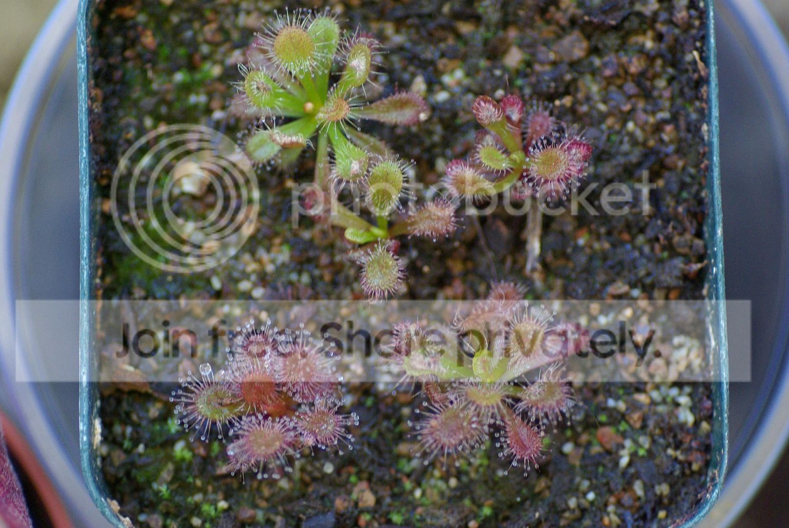 IMGP8361.jpg