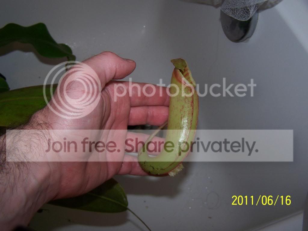 100_4646.jpg