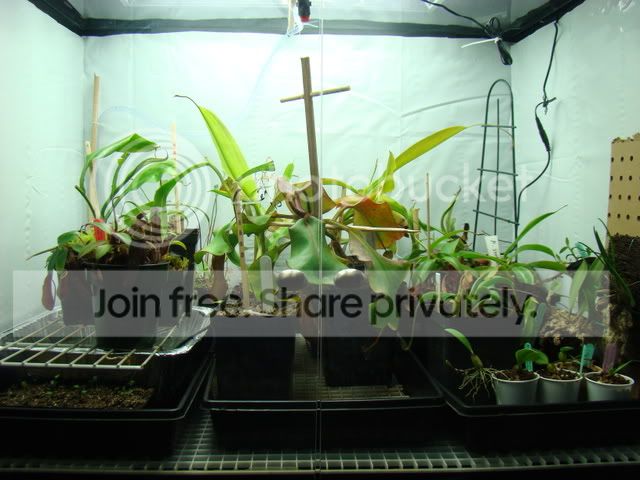 Neps020809015.jpg