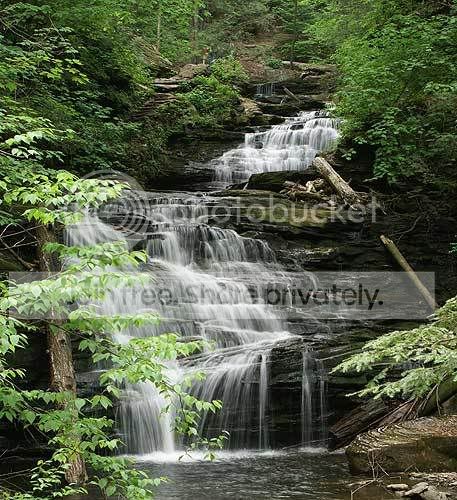 Picture-7246wf.jpg