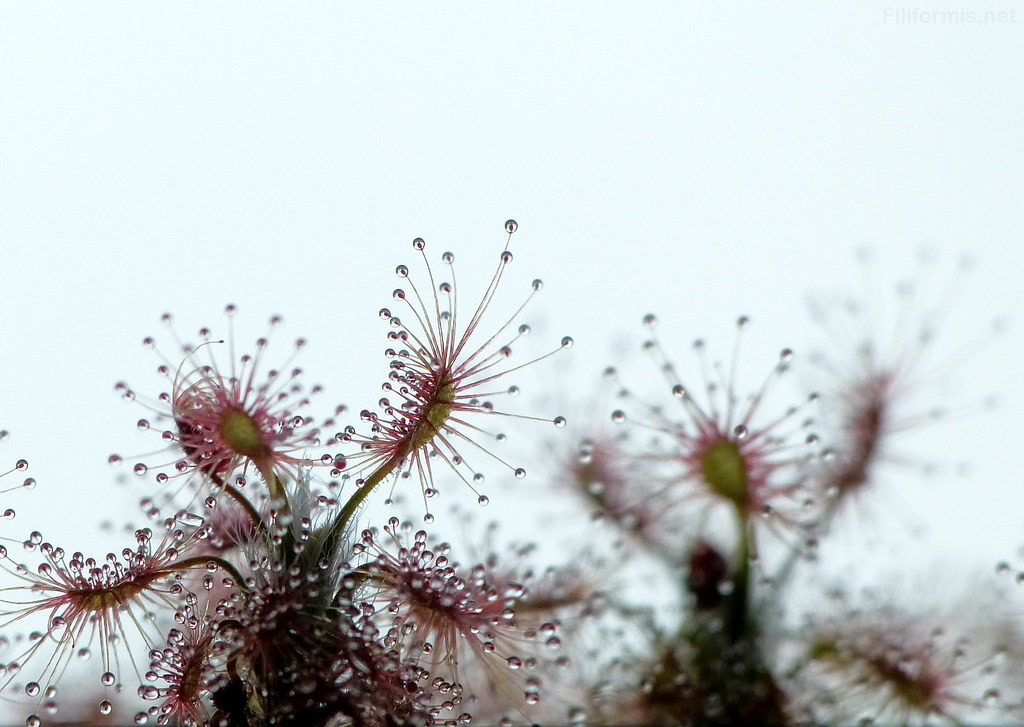 6841503912_5aeae91656_b.jpg
