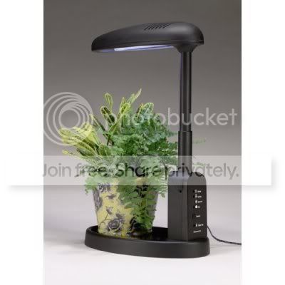 plantlight3.jpg