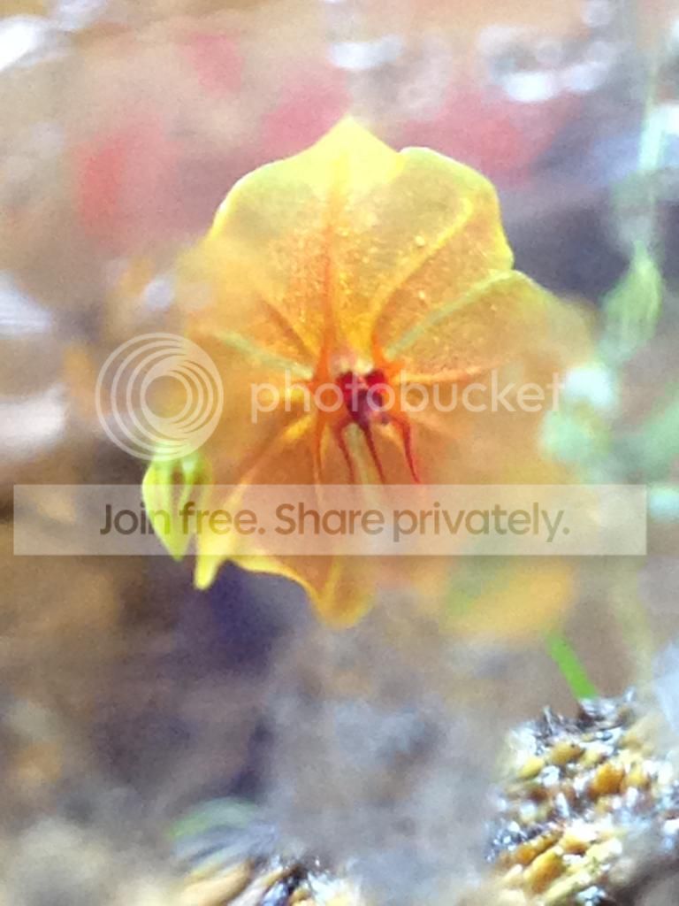 image_12_zpsecdc70d3.jpeg