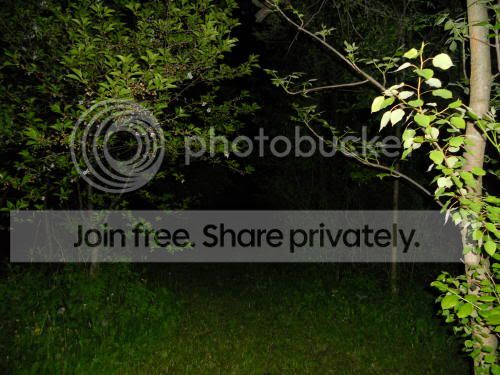 nighttrail_5-23-11JPG.jpg