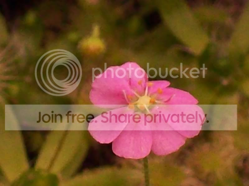 100_8706.jpg