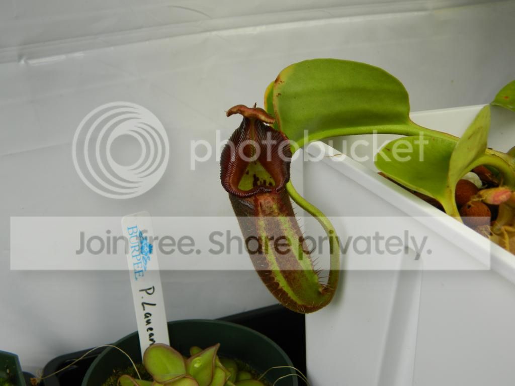 DSCN1614.jpg