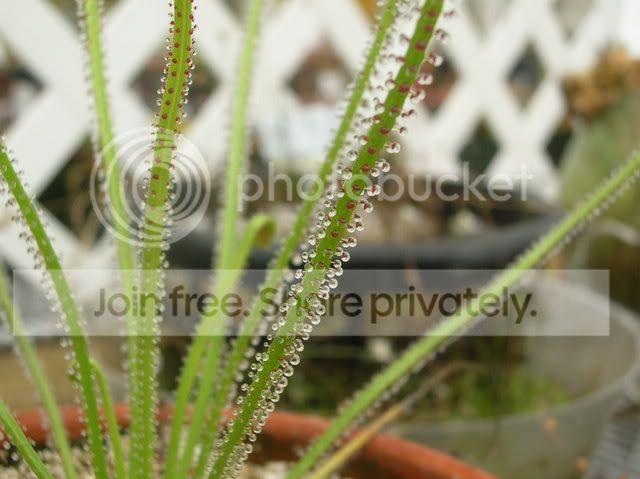 DSCN4391.jpg