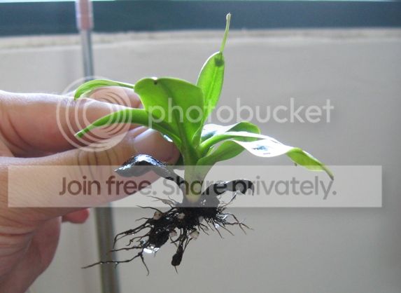IMG_4626_zps13ca7a8f.jpg