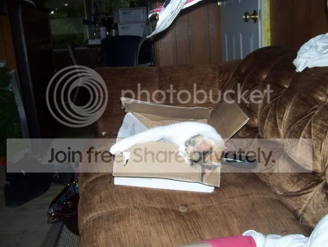 100_3858.jpg