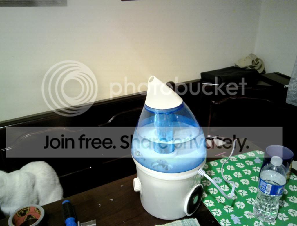 20111120_007b.jpg
