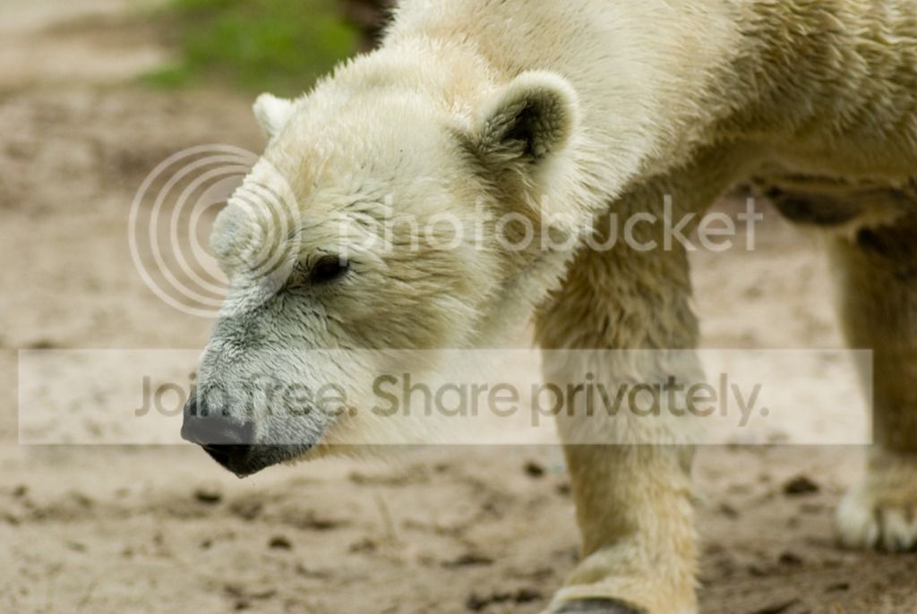 IMGP3498_zpsuofmy07z.jpg