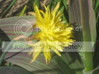 Spring2009007.jpg