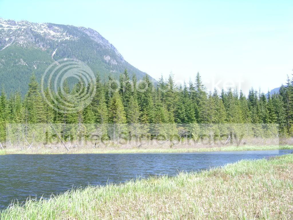 BogandRonsplace011.jpg