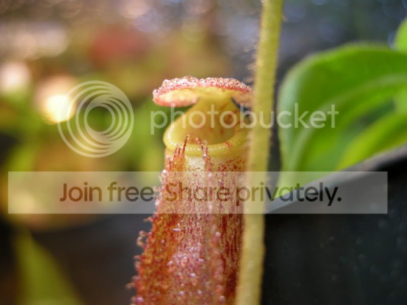 DSCN5822.jpg