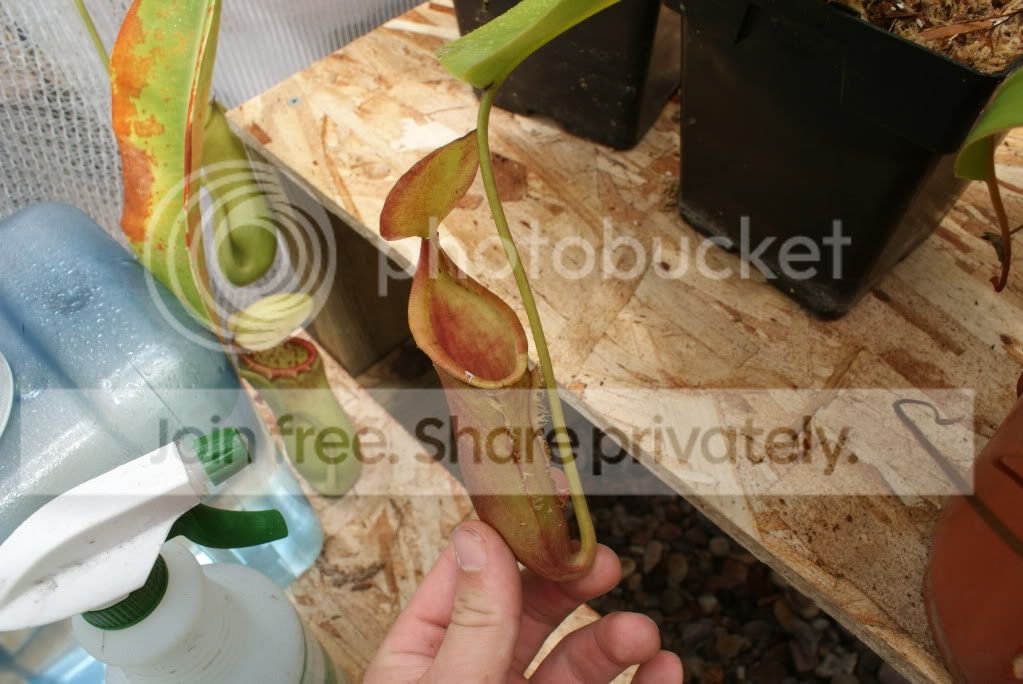 Sales002.jpg