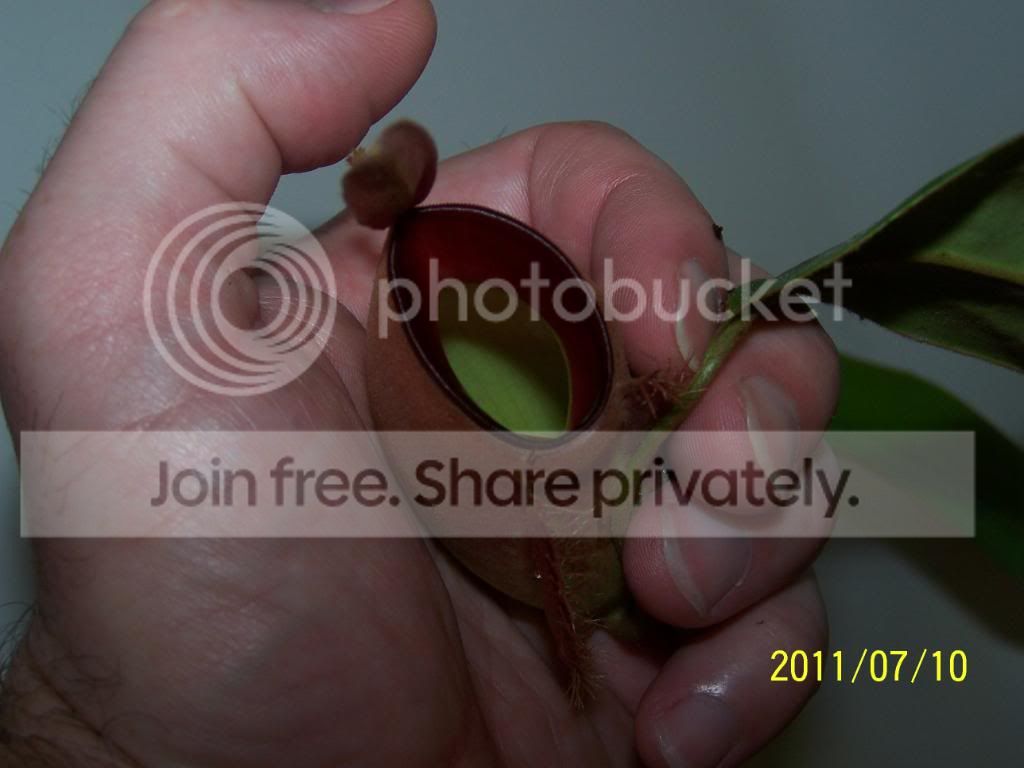100_4774.jpg