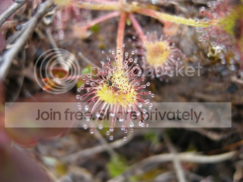 DSCN6116.jpg