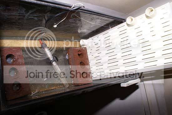 incubator-pics-006.jpg