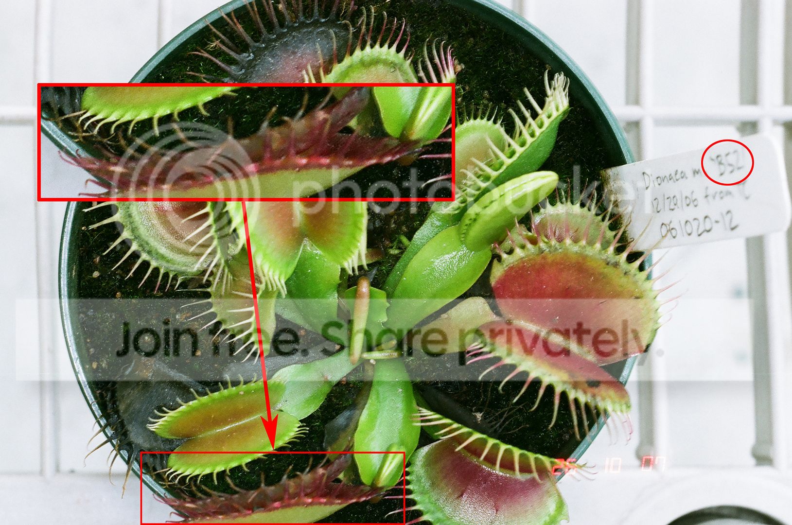 01720020copy.jpg