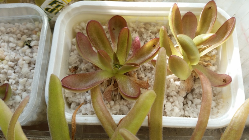 20130110.jpg