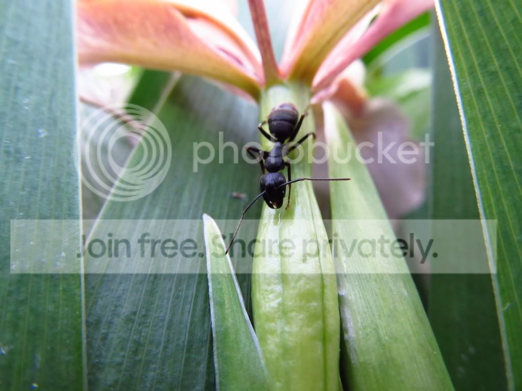 IMG_3986.jpg