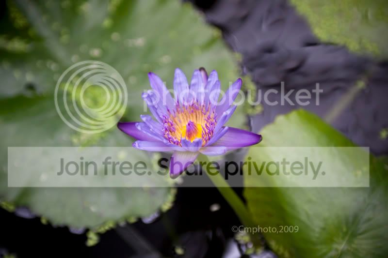 IMG_9325copy.jpg